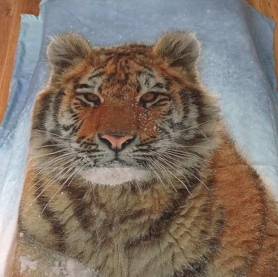 Ágynemű szett Tiger in the Snow