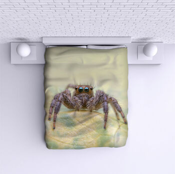Ágytakaró Spider