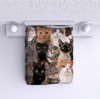 Ágytakaró Cats