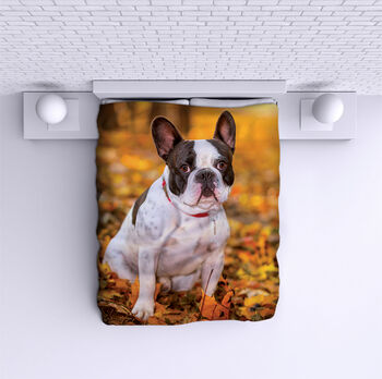 Ágytakaró French Bulldog