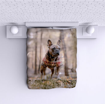Ágytakaró French Bulldog in Forest