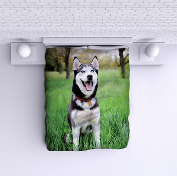 Ágytakaró Husky