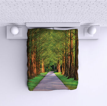 Ágytakaró Road in the forest